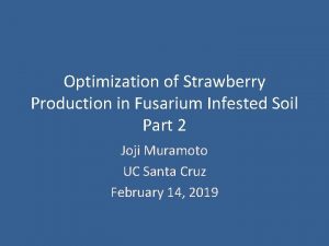 Optimization of Strawberry Production in Fusarium Infested Soil