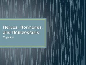 Nerves Hormones and Homeostasis Topic 6 5 Topic