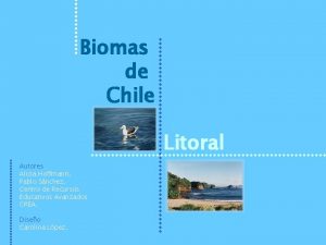 Biomas de Chile Litoral Autores Alicia Hoffmann Pablo