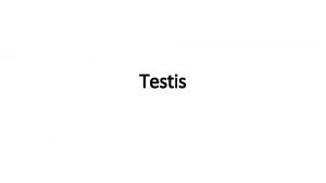 Testis Must know 1 Classification of testicular tumor