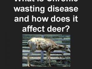 What is Chronic wasting disease and how does