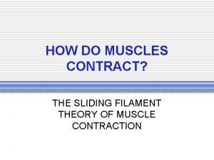 Sliding filament theory