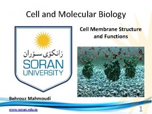 Cell and Molecular Biology Cell Membrane Structure and