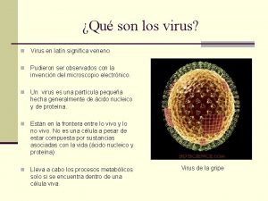 Que son los virus Que son los virus