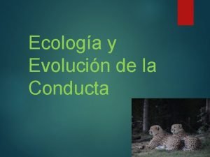 Ecologa y Evolucin de la Conducta Introduccin La