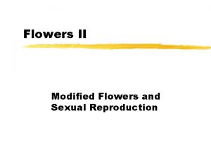 Inflorescence types
