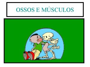 OSSOS E MSCULOS E o que so as