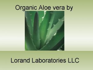 Organic Aloe vera by Lorand Laboratories LLC Introduction
