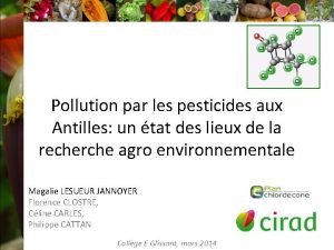 Pollution par les pesticides aux Antilles un tat