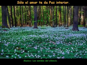 El amor te da paz