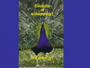 1 Evolutie of Schepping Wat geloof jij Waarom