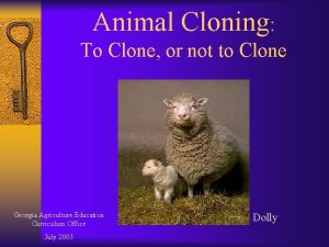 Animal Cloning To Clone or not to Clone