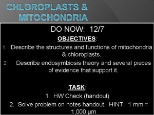 CHLOROPLASTS MITOCHONDRIA DO NOW 127 OBJECTIVES 1 Describe