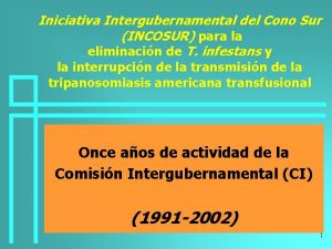 Iniciativa Intergubernamental del Cono Sur INCOSUR para la