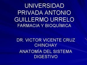 UNIVERSIDAD PRIVADA ANTONIO GUILLERMO URRELO FARMACIA Y BIOQUMICA