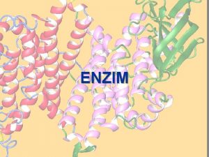 ENZIM Enzim merupakan senyawa organik bermolekul besar yang