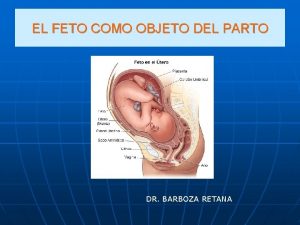 Variedad de posición fetal