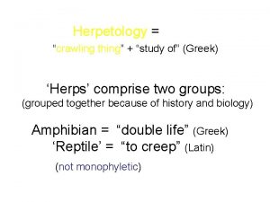 Herpetology crawling thing study of Greek Herps comprise