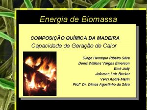 Energia de Biomassa COMPOSIO QUMICA DA MADEIRA Capacidade