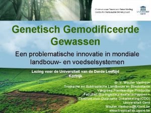 Genetisch Gemodificeerde Gewassen Een problematische innovatie in mondiale