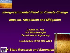 Intergovernmental Panel on Climate Change Impacts Adaptation and