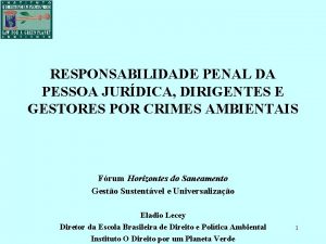 RESPONSABILIDADE PENAL DA PESSOA JURDICA DIRIGENTES E GESTORES