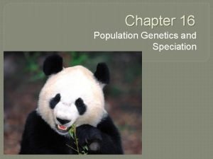 Population genetics and speciation worksheet answer key