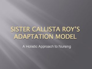 Sister callista roy nursing theory