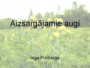 Aizsargjamie augi Inga Freiberga 10 uzdevumi par katru