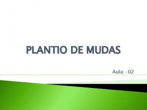PLANTIO DE MUDAS Aula 02 1 DEFINIO MUDA