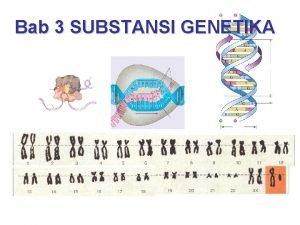 Bab 3 SUBSTANSI GENETIKA Bab 3 Substansi Genetika