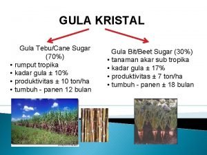 GULA KRISTAL Gula TebuCane Sugar 70 rumput tropika