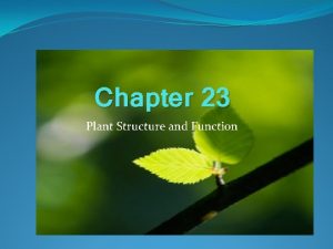 Chapter 23 Plant Structure and Function Section 23