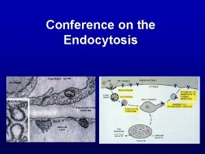 Conference on the Endocytosis TRANSPORT OF MACROMOLECULES ENDOCYTOSIS