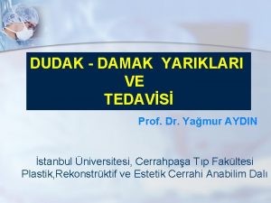 DUDAK DAMAK YARIKLARI VE TEDAVS Prof Dr Yamur