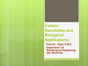 Carbon Nanotubes and Biological Applications Prof Dr Figen