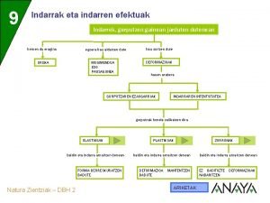 9 Indarrak eta indarren efektuak Indarrek gorputzen gainean