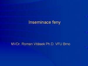 Inseminace feny MVDr Roman Vitsek Ph D VFU