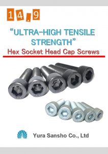 14 9 ULTRAHIGH TENSILE STRENGTH Hex Socket Head