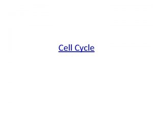 Cell Cycle Cell Reproduction When a cell divides