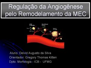 Regulao da Angiognese pelo Remodelamento da MEC Aluno