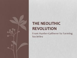 Neolithic revolution definition