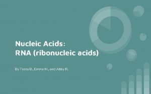 Nucleic Acids RNA ribonucleic acids By Tessa B