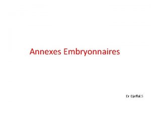 Annexes Embryonnaires Dr Djeffal S Introduction Rles q