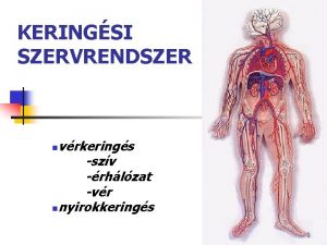 KERINGSI SZERVRENDSZER vrkerings szv rhlzat vr nnyirokkerings n