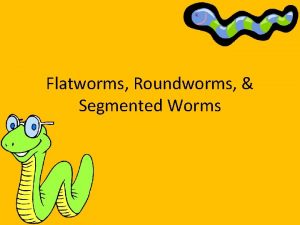 Platyhelminthes vs nematoda