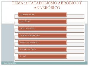 TEMA 11 CATABOLISMO AERBICO Y ANAERBICO 1 ngel