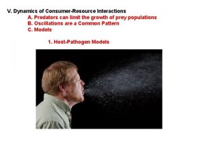 V Dynamics of ConsumerResource Interactions A Predators can