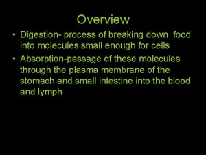 Overview Digestion process of breaking down food into