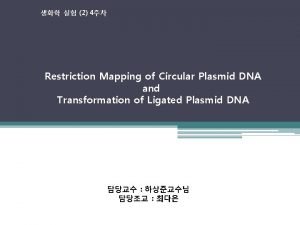 2 4 Restriction Mapping of Circular Plasmid DNA